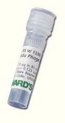 Ward's Science Lambda Phage DNA Marker - M-892546-3948 - Box of 1