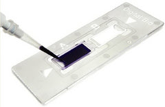 Fisher Scientific Disposable C-Chip For Hemocytometer