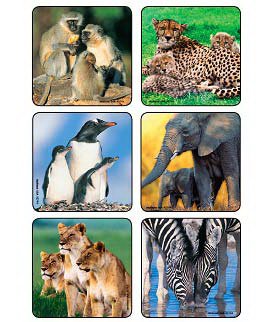 Medibadge 90 per Unit Animal Family Photos , Assorted Sticker