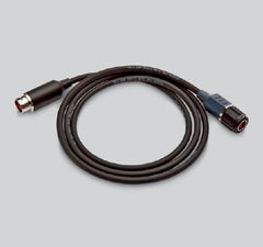 The Palm Tree Group Extension Cable 63 Inch