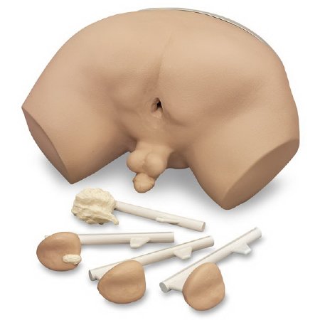 Nasco Prostate Examination Simulator Life/Form® Male 19 lbs.