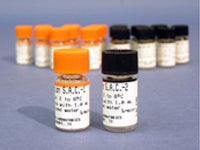 Helena Laboratories Homeostasis Control S.A.C.-1 Multiple Analytes Normal Level 10 X 1 mL
