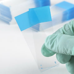 Globe Scientific Microscope Slide Diamond® White Glass Charged 25 X 75 X 1 mm Green Frosted End