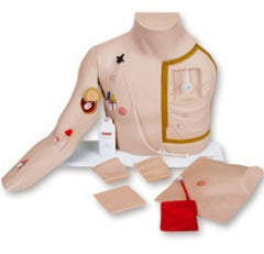 Laerdal Medical Chester Chest with Detachable Right Arm Chester Chest™
