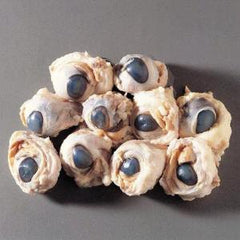 Ward's Science Preserved Sheep Eyes Ward's