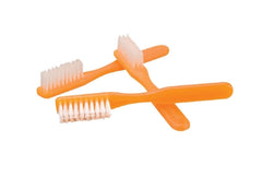 Donovan Industries Toothbrush Dawn Mist® Orange Adult Soft