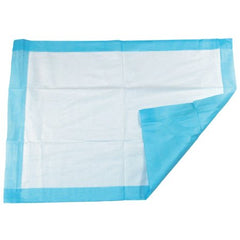 Tidi Products Procedure Underpad Tidi® 17 W X 24 L Inch Blue NonSterile