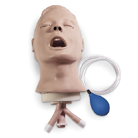Nasco Airway Larry Adult Management Trainer Head Life/Form®