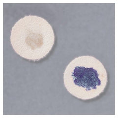 Fisher Scientific Differentiation Disc Remel™ Microdase