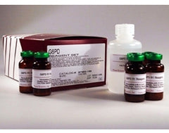 Pointe Scientific Reagent General Chemistry Glucose R1: 10 X 6 mL, R2: 1 X 120 mL
