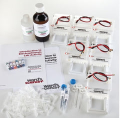 Ward's Science Electrophoresis Lab System Demonstration, 1 No. of Lab Groups