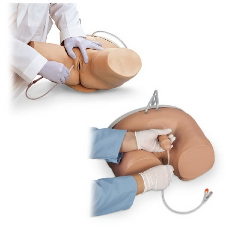 Nasco Catheterization Simulator Life/Form® Male / Female 33 lbs.