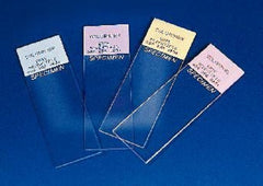 Erie Scientific Microscope Slide Colormark™ 25 X 75 X 1 mm Yellow End - M-1008534-3176 - Case of 1440