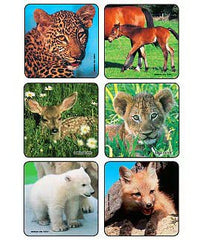 Medibadge Kids Love Stickers® 90 per Unit Baby Animal Photos , Assorted Sticker