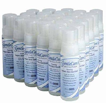 Paragon Alcohol-Free Hand Sanitizer with Aloe GentleCare™ 1.7 oz. BZK (Benzalkonium Chloride) Foaming Pump Bottle