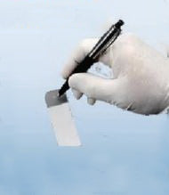 Fisher Scientific Marking Pen Lab Scientific