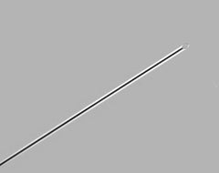 Cook Medical Biopsy Needle EchoTip® 25 Gauge 5 cm Length Echogenic Tip