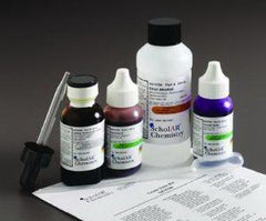 Ward's Science Gram Stain Slide Kit