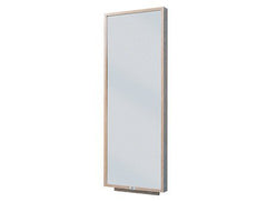 Hausmann Industries Wall Mount Mirror 4 X 24 X 66 Inch