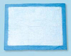 Tidi Products Procedure Underpad Tidi® 22 W X 36 L Inch Blue NonSterile