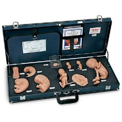 Nasco Human Reproduction and Development Kit with DVD Life/Form® Plastic