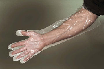 Cellucap Mfg Co Elbow Length Food Service Glove One Size Fits Most Smooth Clear Polyethylene - M-970966-4484 - Case of 5
