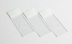 Fisher Scientific Microscope Slide Shandon™ Single Cytoslide™ 25 X 75 mm Frosted End, Single Circle, Coated