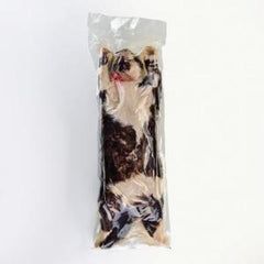 Ward's Science Preserved Cat Large 14 Inch and Over, Plain Preserved Injected Type