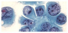 Fisher Scientific Acid Buffer Richard-Allan Scientific™ Phosphate Buffer pH 6.6 9.3 Gram