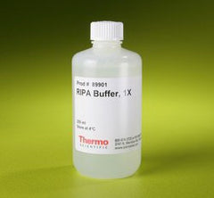 Fisher Scientific Cell Culture Reagent Thermo Scientific™ Pierce™ RIPA Buffer Cell Lysis 0.1 to 1% 250 mL