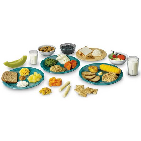 Nasco Common Meals Food Replica Kit