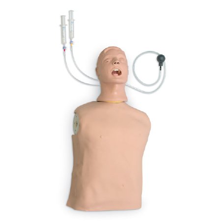 Nasco Airway Management Torso Life/Form® Advanced Airway Larry Male