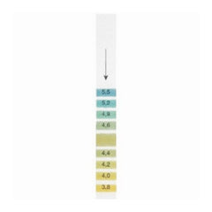 PANTek Technologies LLC pH Test Strip Whatman™ 3.8 to 5.5