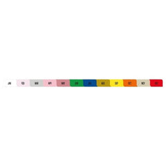 First Healthcare Products Divider Set Jan, Feb, Mar, Apr, May, Jun, Jul, Aug, Sep, Oct, Nov, Dec