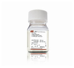Fisher Scientific Microbiology Reagent Gibco® Penicillin-Streptomycin Antibiotic 100X 20 mL
