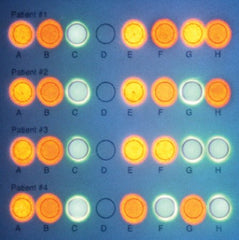 Fisher Scientific Student Lab Activity Edvotek™ DNA/RNA Microarray