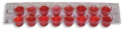 Fisher Scientific Blood Based Cancer Diagnostics Edvotek™