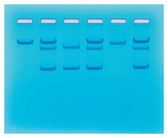 Fisher Scientific Sickle Cell Gene Detection (Dna-Based) Classroom Educational Kit Edvotek™ 8 gels, 45 minutes Time Range, Refrigerated