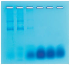 Fisher Scientific Gel Filtration Chromatography Educational Kit Edvotek™