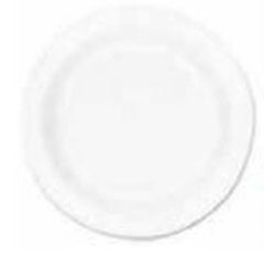 RJ Schinner Co Plate Dart® Concorde® White Single Use Non-Laminated Foam 9 Inch Diameter
