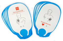The Palm Tree Group Simulator Training Electrode
