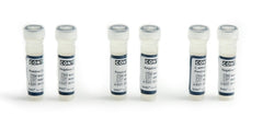 Quidel Molecular Diagnostic Control Set Quidel® Strep B (GBS) Positive Level / Negative Level 2 Vials