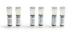 Quidel Molecular Diagnostic Control Set Quidel® Bordetella pertussis Positive Level / Negative Level 2 Vials