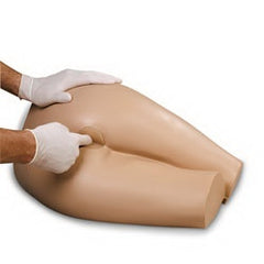 Nasco Rectal Examination Model Adam Rouilly LTD 29 lbs.