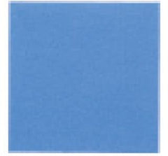 Aesculap Filter 9 X 9 Inch, With Indicator Dot