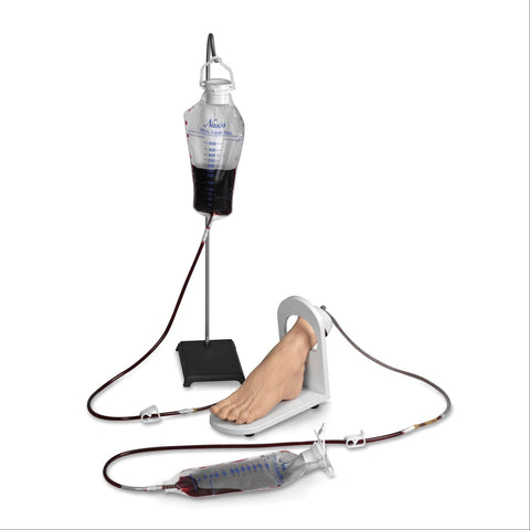 Adult IV Foot Life/form Adult IV Foot • Light ,1 Each - Axiom Medical Supplies