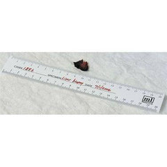 Bio-Ruler Bio-Ruler • Paper • 20 pads ,500 Per Pack - Axiom Medical Supplies