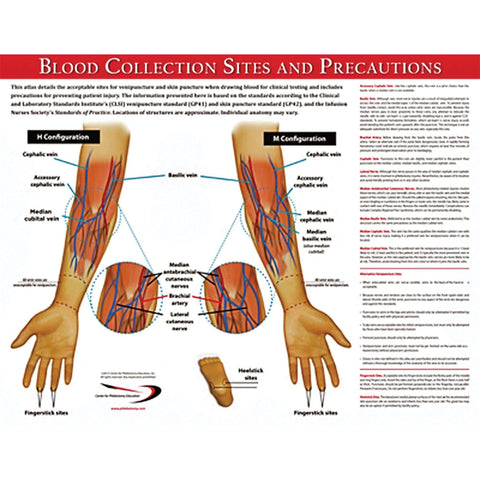 Blood Collection Sites Poster Blood Collection Sites Poster • 17"W x 22"H ,1 Each - Axiom Medical Supplies