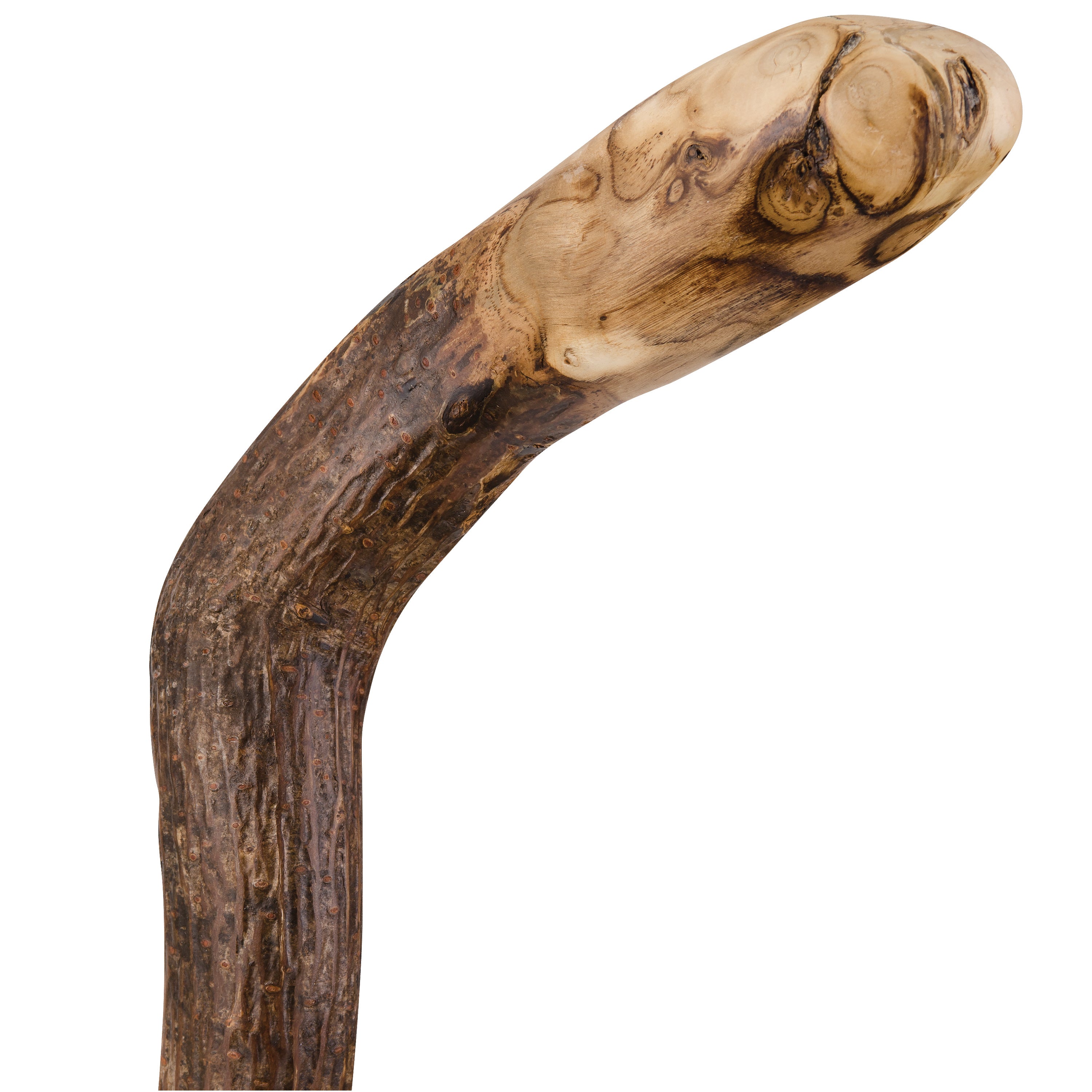 Brazos Walking Sticks Knob Root Cane AM-502-3000-0127