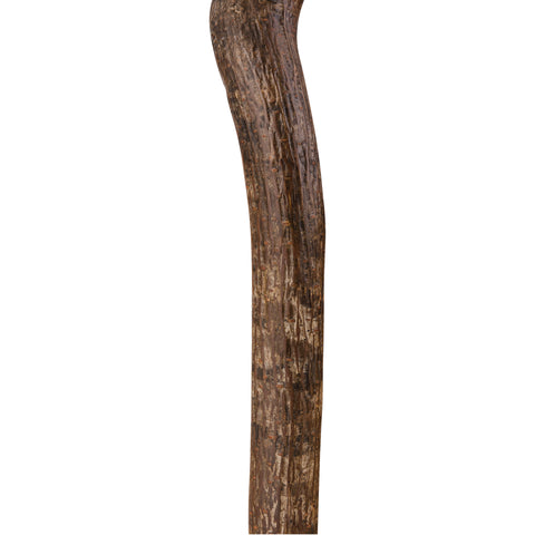 Brazos Walking Sticks Knob Root Cane AM-502-3000-0127
